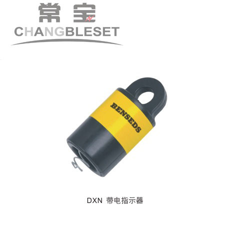  DXN-1 带电指示器 